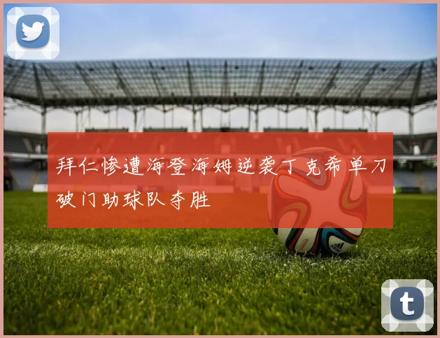 拜仁惨遭海登海姆逆袭丁克希单刀破门助球队夺胜